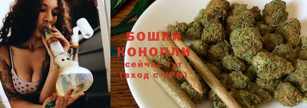 ГАЛЛЮЦИНОГЕННЫЕ ГРИБЫ Корсаков