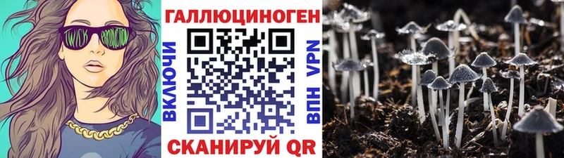 Купить  Данилов  Псилоцибиновые грибы Psilocybine cubensis 